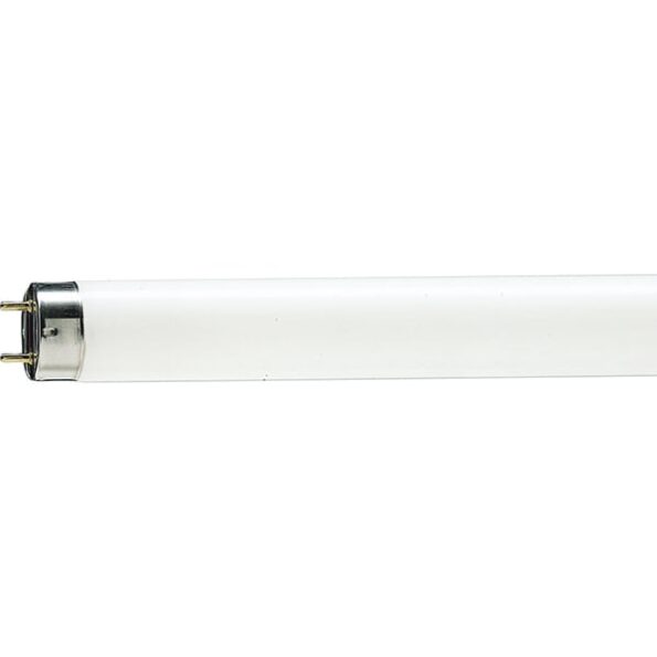 TUB FLUORESCENT 18W 6500K 60cm(SQ0355-0027)TDM