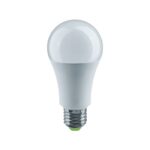 Bec LED 20W 4000K E27 A70 Lumineco PRO