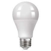 Bec LED 20W 6500K E27 A70 TDM