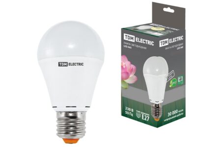 Bec LED 10W 6500K E27 A60 TDM