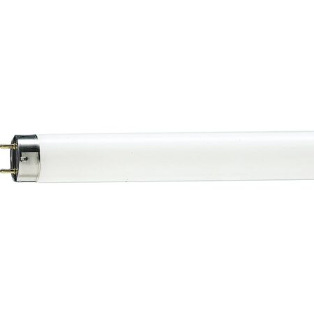 TUB FLUORESCENT 18W 6500K 60cm TDM