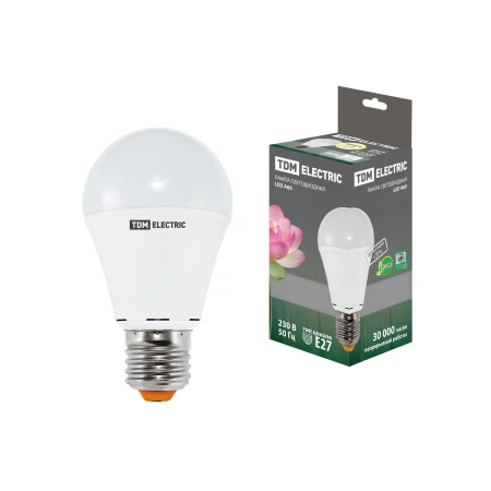 Bec LED 10W 6500K E27 A60 TDM