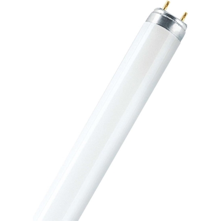 TUB FLUORESCENT 30W 89.5CM (865)6500K PLUS ECO OSRAM
