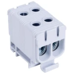 CLEMA UNIVERSALA CU SURUB 2P 50MM2  2X160A SURA