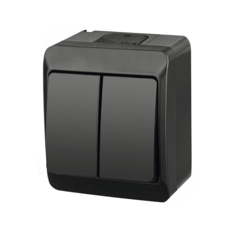 Выключатель двухклавишный накладной серый 10A ИП54 220V Timex