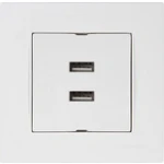 Розетка компьютерная с USB белая встраиваемывая 220V rita Mutlusan