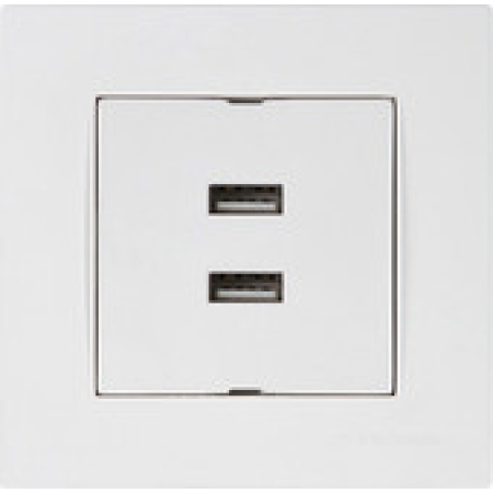 Розетка компьютерная с USB белая встраиваемывая 220V rita Mutlusan