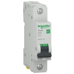 INTR.AUTOMAT C25A 2P EZ9 SCHNEIDER
