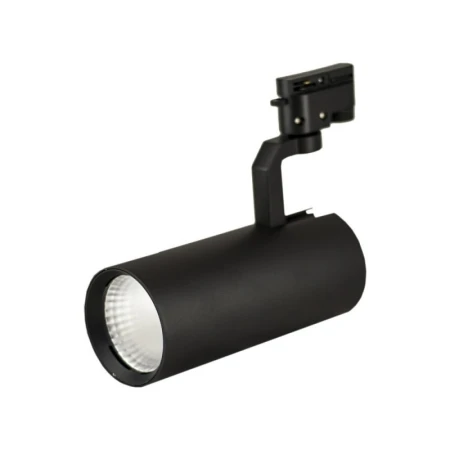 proiector de iluminat directionat LED 30W negru 6500 K negru