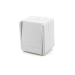 Тумблер накладной белый 10A ИП44 220V ТЕM