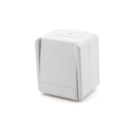 Тумблер накладной белый 10A ИП44 220V ТЕM