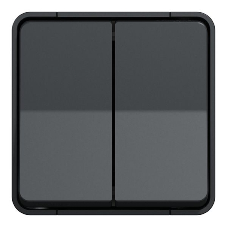 Выключатель двухклавишный накладной черный 10A IP22 220V NE-AD