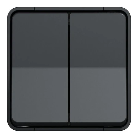 Întrerupător dublu aparent negru 10A IP22 220V NE-AD