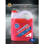 ANTIFREEZE ROSU G12+ 10L WINSO