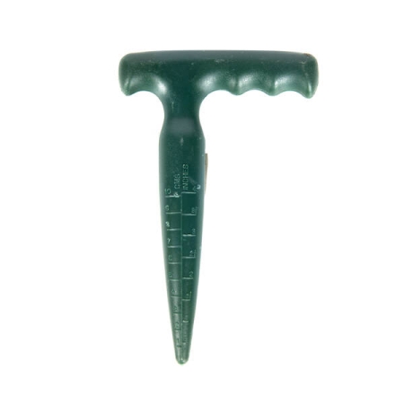 Саженец с пластиковыми луковицами