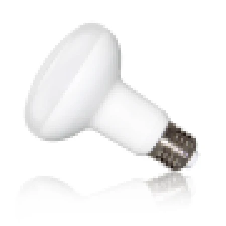 Светодиодная лампа 12В 6500K E27 R63 LUMINA LED