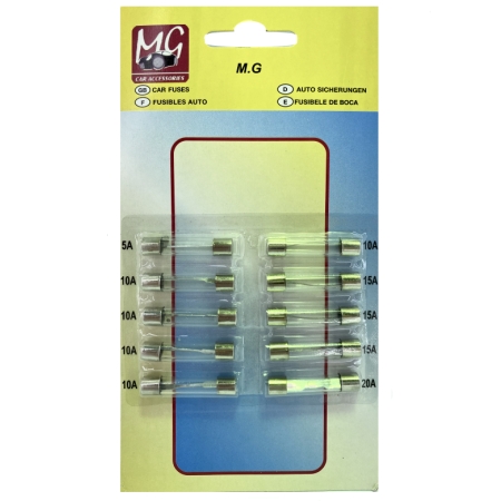 SIGURANTA FUZIBILA WINSO 10PCS