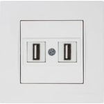 Двойная розетка c USB белая встраиваемывая ИП20 220V rita Mutlusan