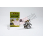 BEC AUTO HALOGEN H4 12V 60/55W KAIER