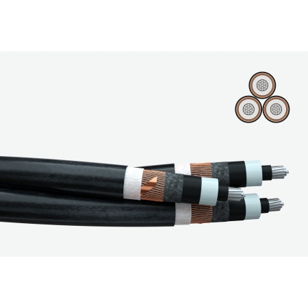 CABLU NA2XSE(F)2Y-6/10KVA 3x50RM/16