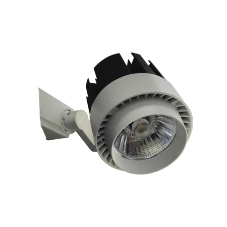 Proiector de iluminat directionat LED 20W alb 4000 K Elmos