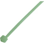 Bandă de strîngere verde 200mm Enext