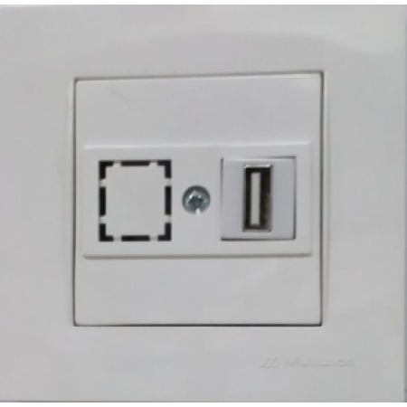 Розетка компьютерная с USB белая встраиваемывая ИП20 220V rita Mutlusan