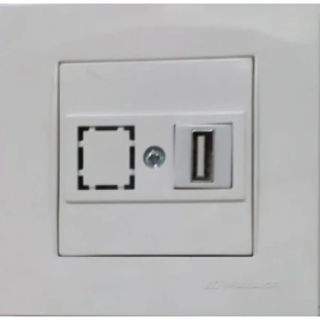 Priză de date cu USB albă incorporabilă IP20 220V rita Mutlusan