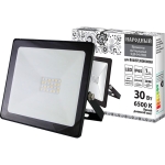 PROIECTOR LED 30W 6500K IP65 NEGRU TDM