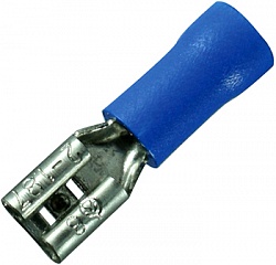 Papuc izolat Papuc izolat