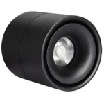 Felinar LED 15W 4200K negru 220V Horoz