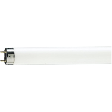 TUB FLUORESCENT 36W 6500K 120cm TDM