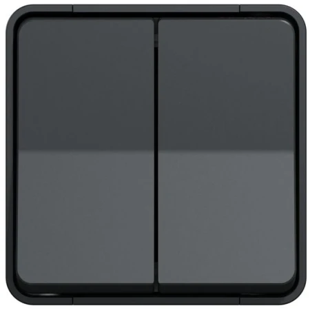 Întrerupător dublu aparent negru 10A IP22 220V NE-AD