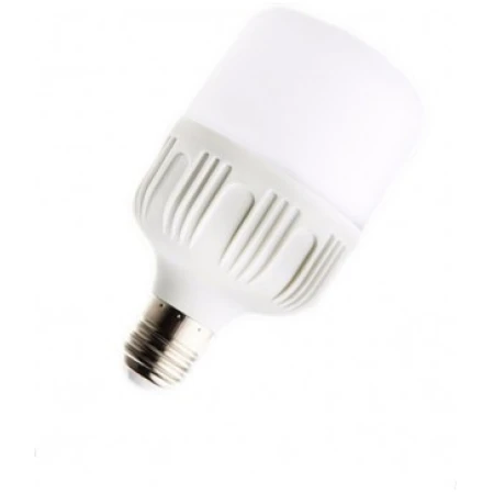 Bec LED 40W 6000К E27 T120 LUMINA LED