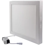 aplica LED 24W 6500 K alb alb