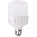Bec LED 30W 4000K E27 T100 LUMINA LED