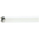 TUB FLUORESCENT 36W 6500K 120cm TDM TUB FLUORESCENT 36W 6500K 120cm TDM