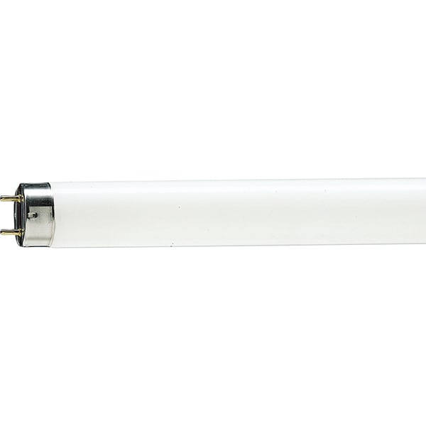 TUB FLUORESCENT 36W 6500K 120cm TDM TUB FLUORESCENT 36W 6500K 120cm TDM