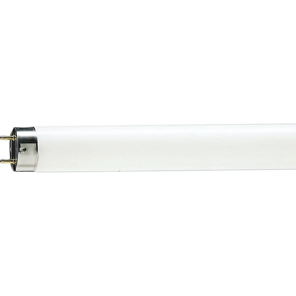 TUB FLUORESCENT 36W 6500K 120cm TDM TUB FLUORESCENT 36W 6500K 120cm TDM