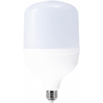 Bec LED 50W 6000К E27 T140 LUMINA LED