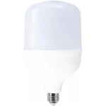 Bec LED 50W 6000К E27 T140 LUMINA LED