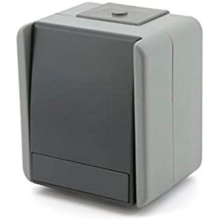 Тумблер накладной серый 10A ИП44 220V ТЕM