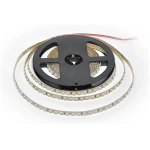 Bandă led 4.8W 6500K 12V 8mm IP20 5m Elmos