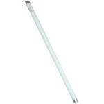 Tub fluorescent 36W 120cm Fobos