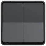 Întrerupător dublu aparent negru 10A IP22 220V NE-AD