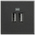 Двойная розетка c USB черная встраиваемывая 220V rita Mutlusan