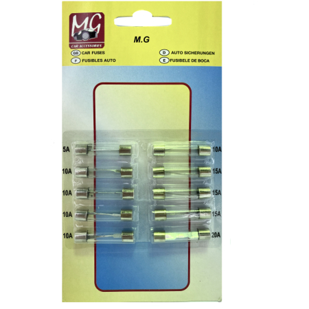 SIGURANTA FUZIBILA WINSO 10PCS
