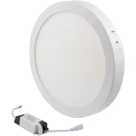 aplica LED 12W 6500 K alb alb