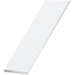SINA DE ALUMINIU 60*6 870A 1m
